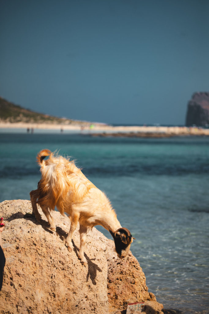 Crete Plage Balos
