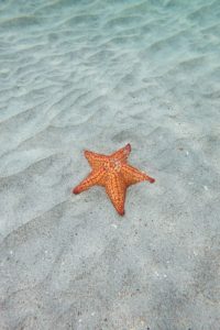 martinique ou partir en octobre famille