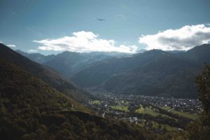Brame du cerf pyrénées