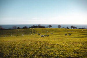 itinéraire irlande du nord