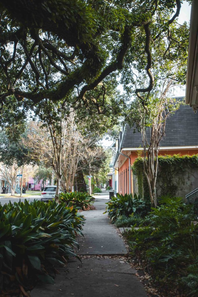 quartier treme nouvelle orleans