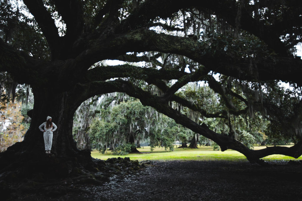 parc audubon nouvelle orleans