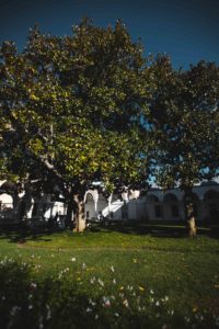 Le Palais Topkapi