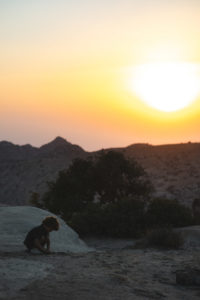 vallée de dana jordanie