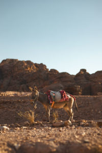 petra jordanie