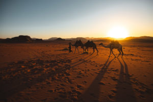 voyage jordanie