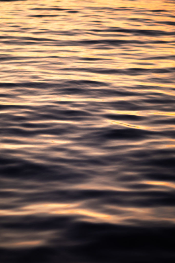 coucher de soleil catamaran ajaccio