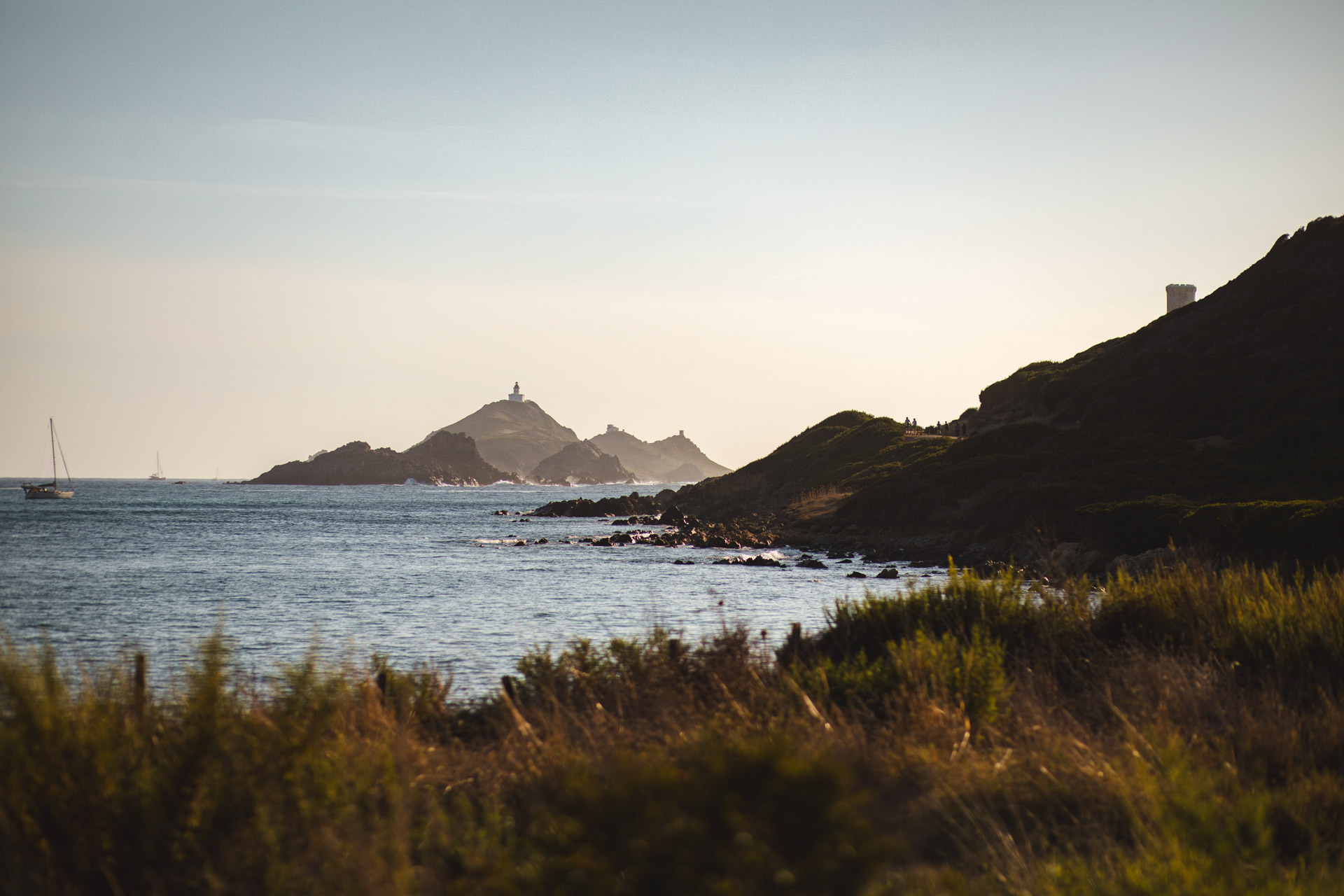 que faire ajaccio